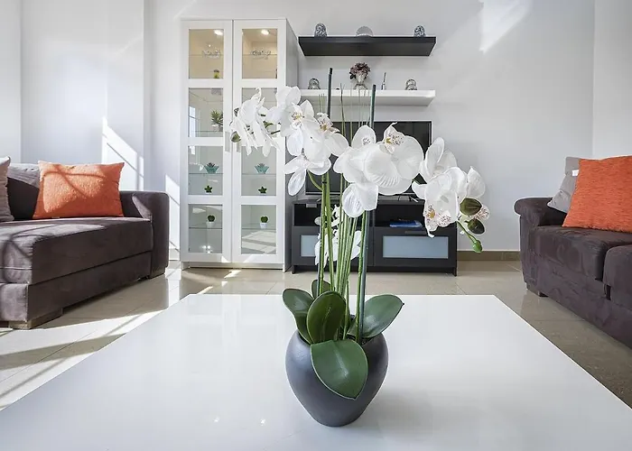 Apartment Palmas Center,near To The Las Palmas / Gran Canaria