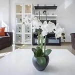Apartment Palmas Center,near To The Las Palmas de Gran Canaria