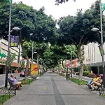 Palmas Center,near To The Las Palmas de Gran Canaria