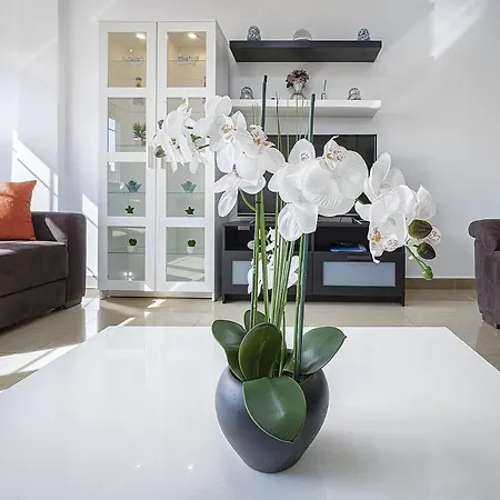 Appartement Palmas Center,near To The Las Palmas